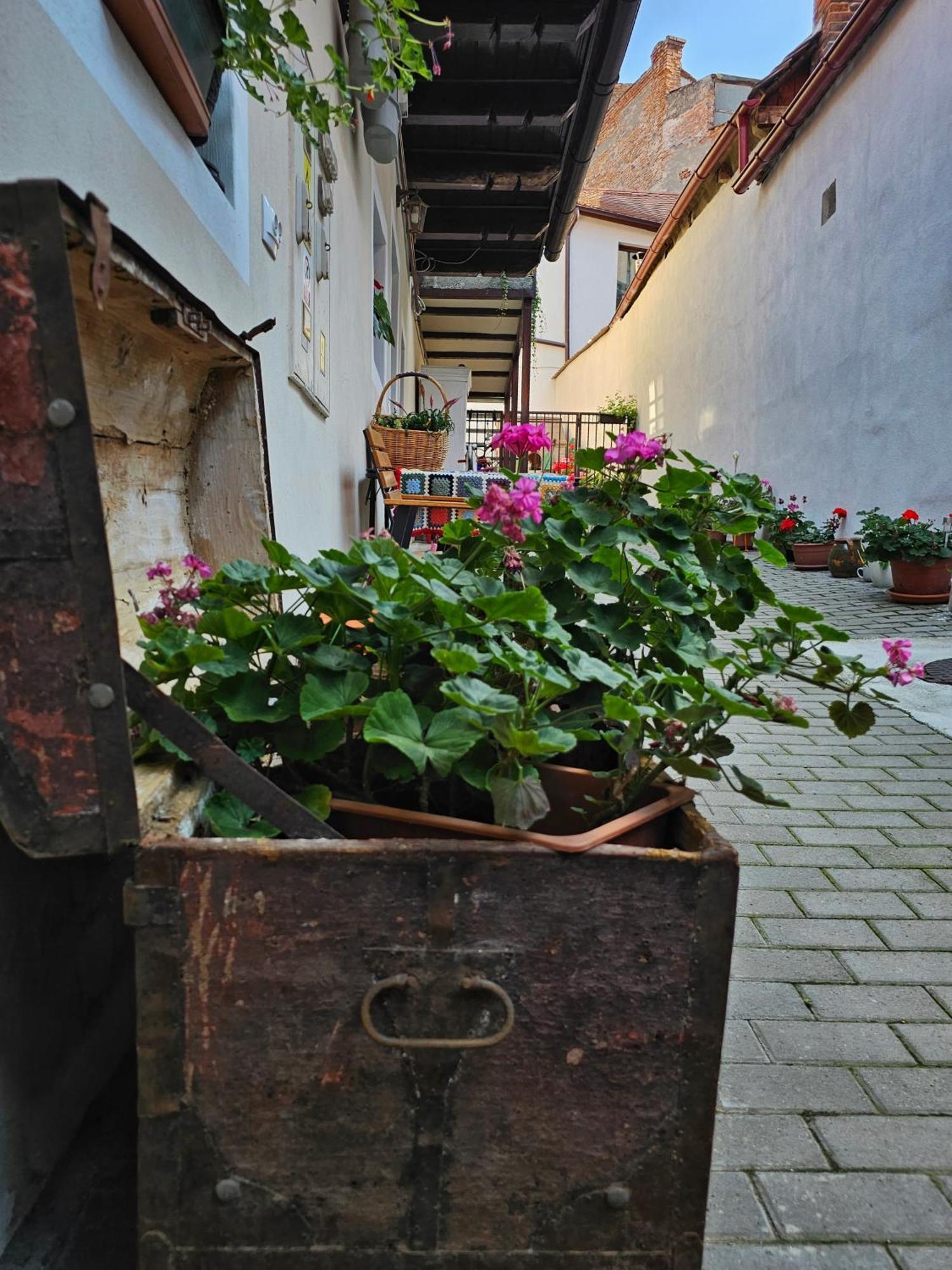 Central Cozy House Sibiu Leilighet Eksteriør bilde