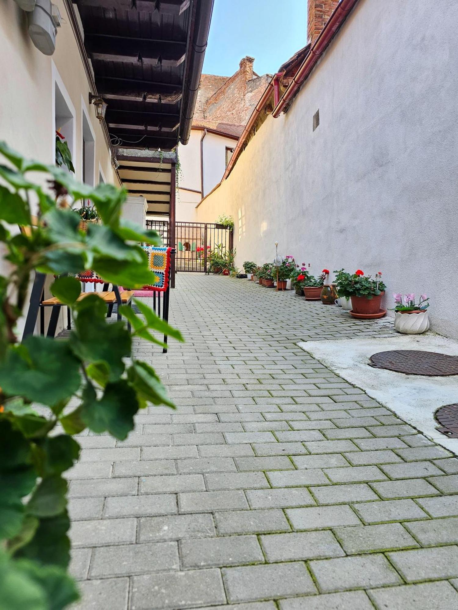 Central Cozy House Sibiu Leilighet Eksteriør bilde